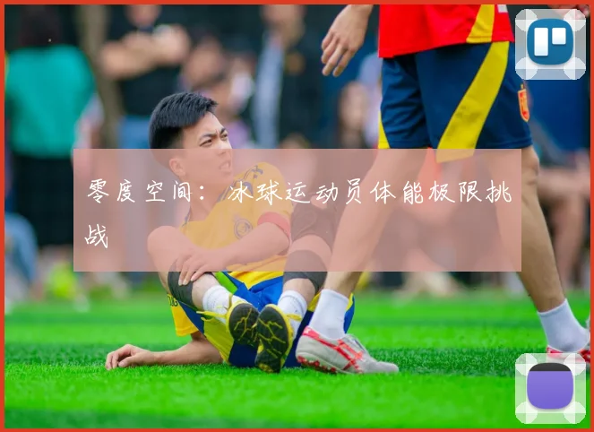 零度空间：冰球运动员体能极限挑战